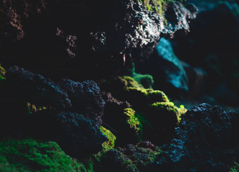 Similar image 21382196