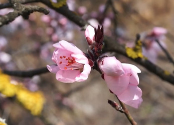 Similar image 21382198