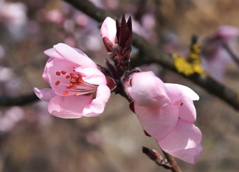 Similar image 21382199