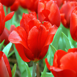 Similar image 21405737