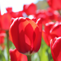 Similar image 21405738