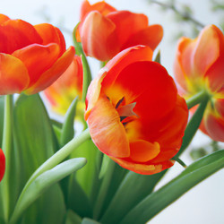 Similar image 21405739