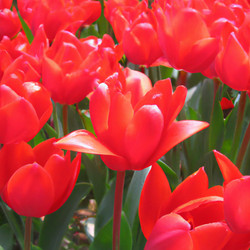 Similar image 21405816