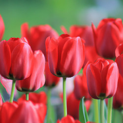 Similar image 21405817