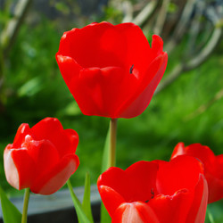 Similar image 21405819