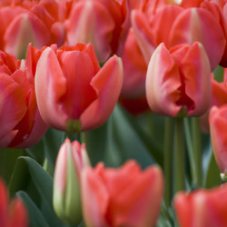 Similar image 21405820