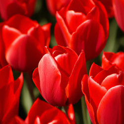 Similar image 21405907