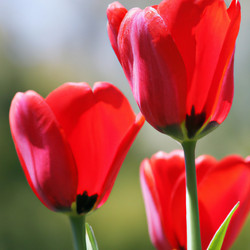 Similar image 21405909