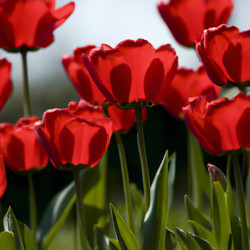 Similar image 21405910