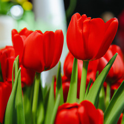 Similar image 21405911