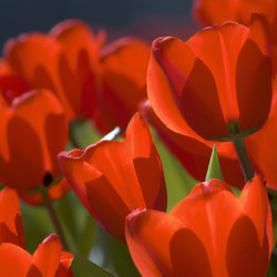 Similar image 21405912