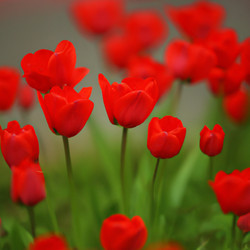 Similar image 21405913