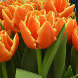 Similar image 21406008