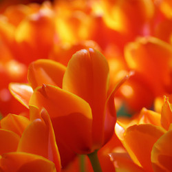 Similar image 21406011