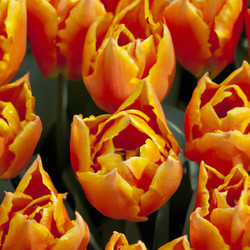 Similar image 21406012