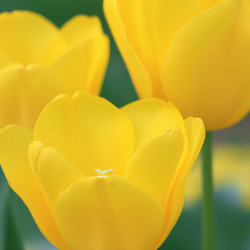 Similar image 21406145