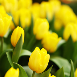 Similar image 21406147