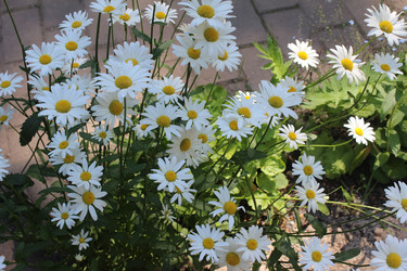 Similar image 21388529