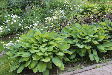 Similar image 21388530