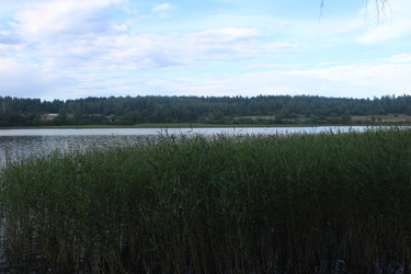 Similar image 21385335