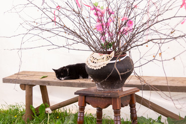 Similar image 21386183