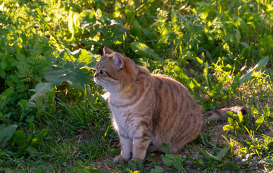 Similar image 21386184