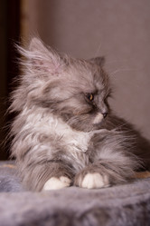 Similar image 21386185