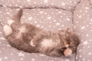 Similar image 21386186