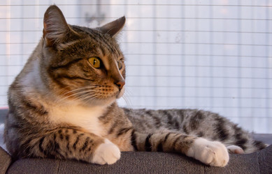 Similar image 21386188