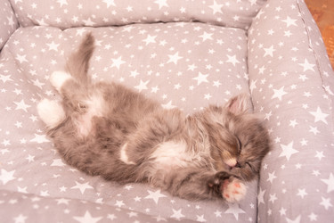 Similar image 21386189