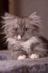 Similar image 21386191