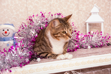 Similar image 21386192