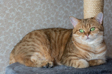 Similar image 21386193