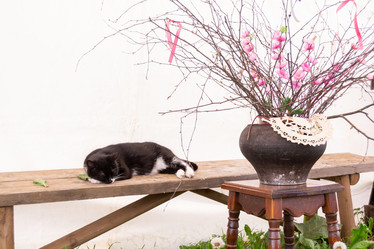 Similar image 21386194