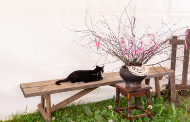 Similar image 21386196