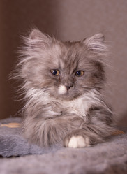 Similar image 21386197