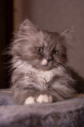 Similar image 21386198