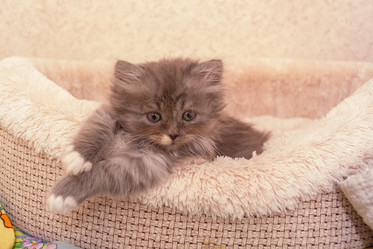 Similar image 21386200