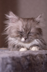 Similar image 21386201