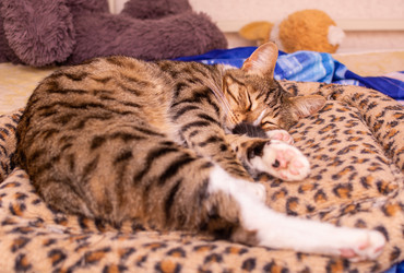 Similar image 21386202