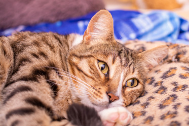 Similar image 21386203