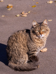 Similar image 21386204