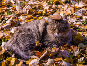 Similar image 21386205