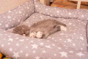 Similar image 21386206