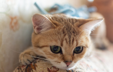 Similar image 21386211