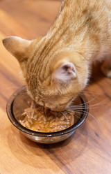 Similar image 21386213