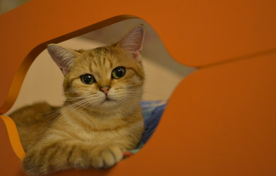 Similar image 21386214