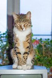 Similar image 21386215