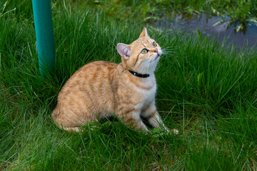 Similar image 21385795