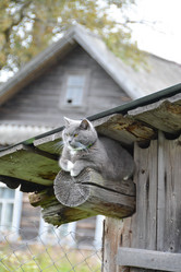 Similar image 21385798